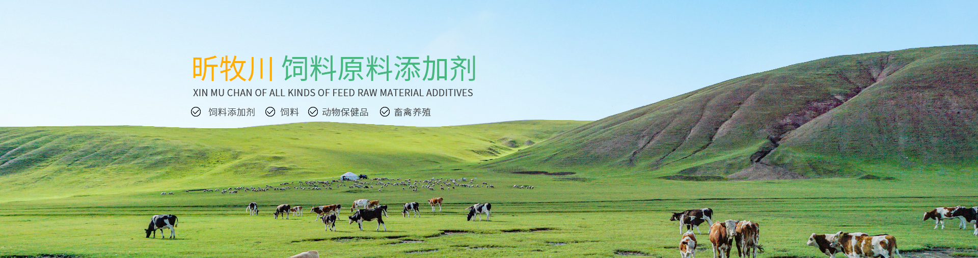 ̩����̩���̲������޹�˾