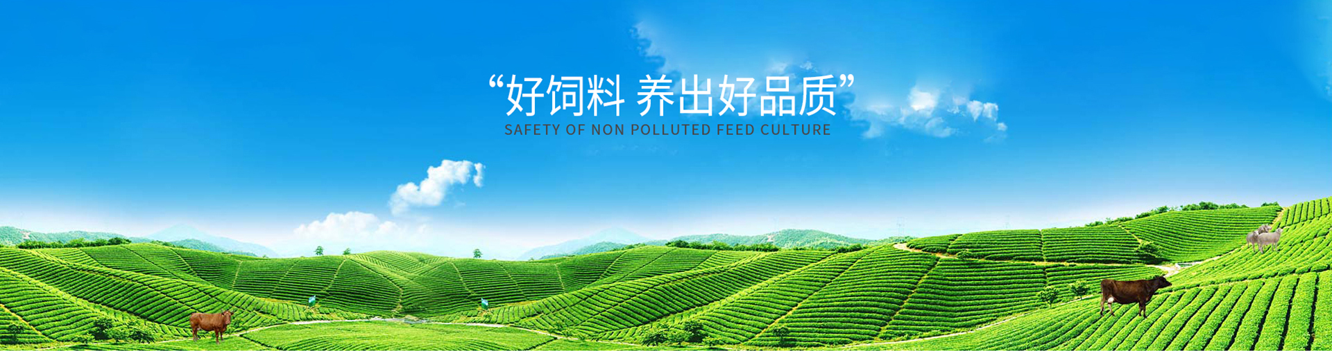 ̩����̩���̲������޹�˾